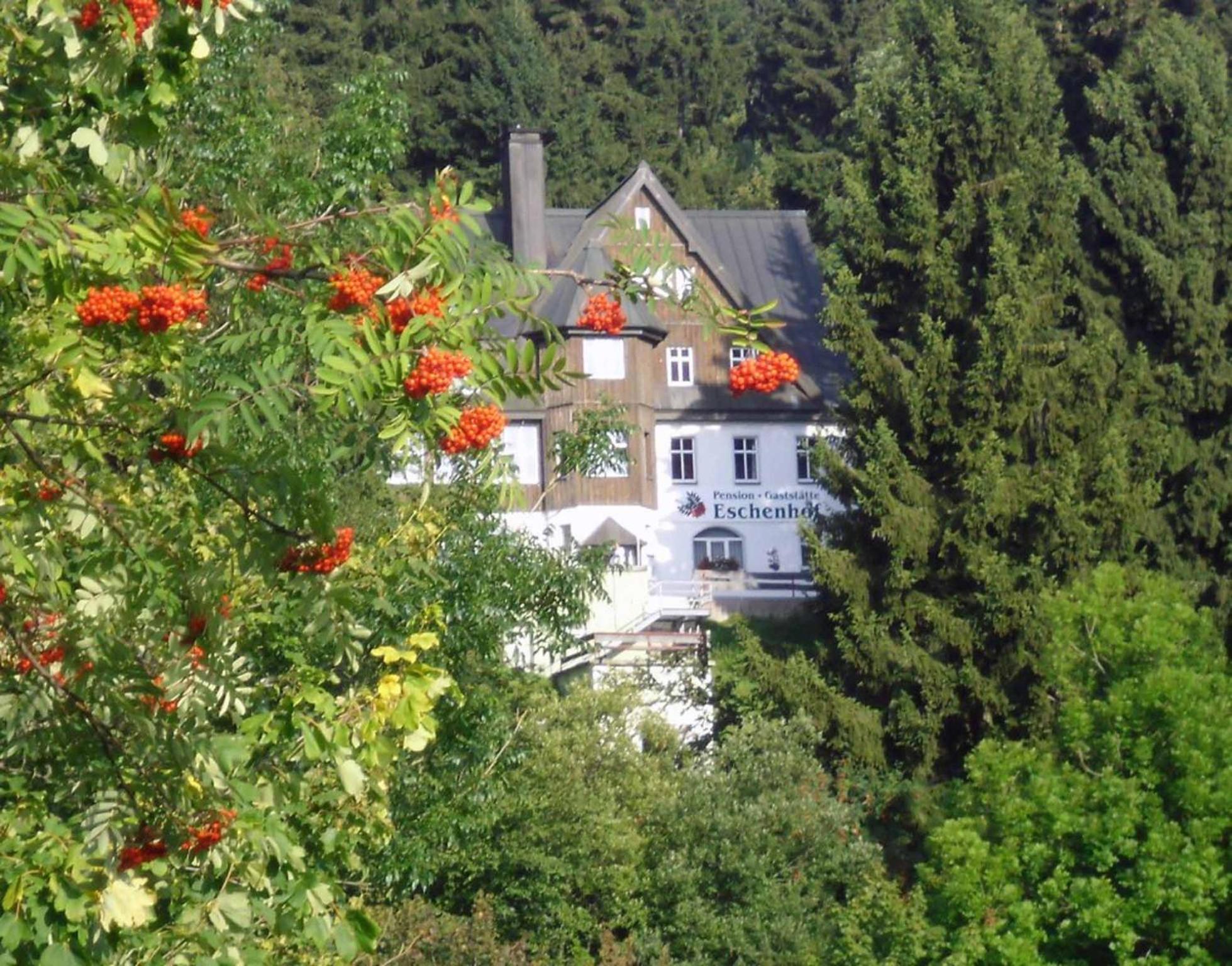 Pension Und Gaststaette Naturbaude Eschenhof Oberwiesenthal Kültér fotó